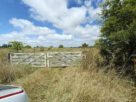 Campo 18 hectareas en venta sobre Ruta 11 - Paraje el Pino - Magdalena