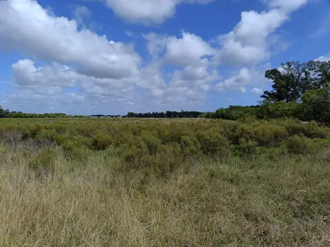 Terreno en Venta de 180000,0 m2