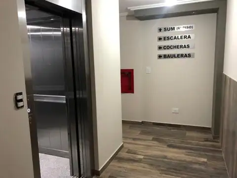 LOBOS 41