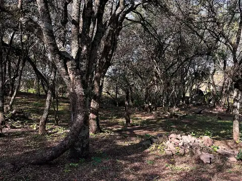 VENTA LOTE 1000 Mts EN VILLA EL ROSAL AGUA DE ORO