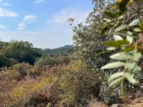 Terreno en Venta de 976,0 m2