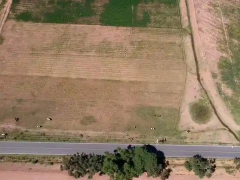 Cabra Corral Terreno 2 Ha