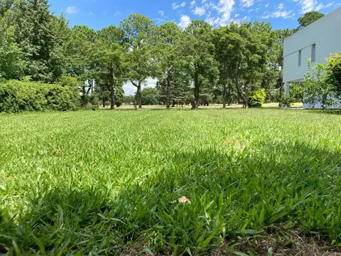 Terreno en Venta de 800,0 m2