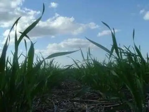 RUTA 16  c/ red de gas en tranquera entre Gualeguaychu y Larroque