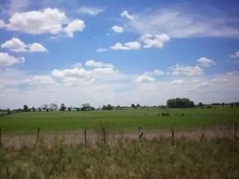 Campo en Venta de 80  ha