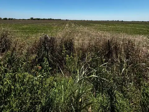 Campo en Esperanza