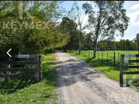 Alquiler Temporal-Casa Quinta-Calle 60 y calle 183