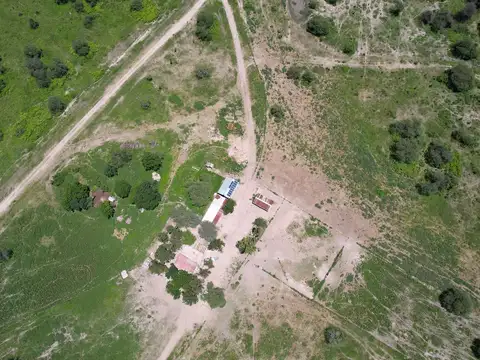 2350 has ganaderas de cría - Tostado - Santa Fe