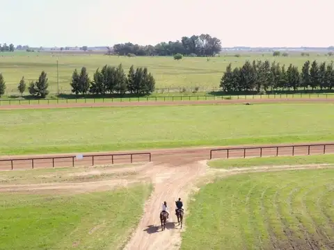 Terreno en Venta de 3925,0 m2