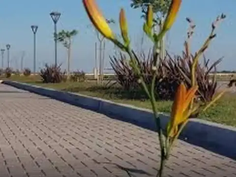 Terreno en Venta de 863,0 m2