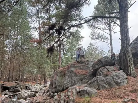 Campo en Venta de 200  ha