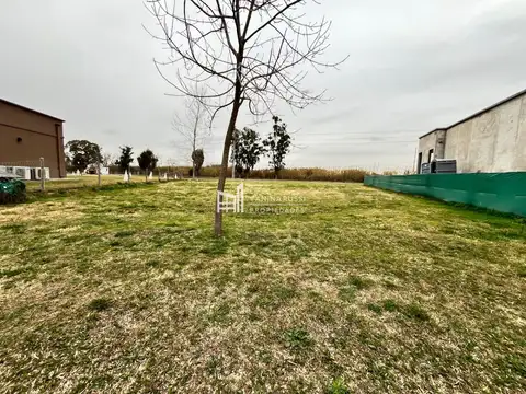 LOTE EN VENTA HARAS SANTA MARIA - MOLINO 7400