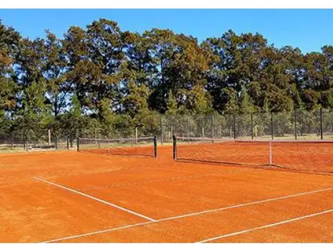 Azahares del Paraná