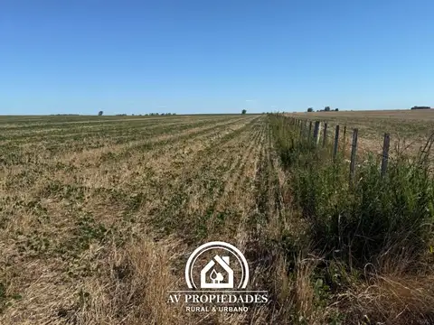 Campo en Colonia El Potrero