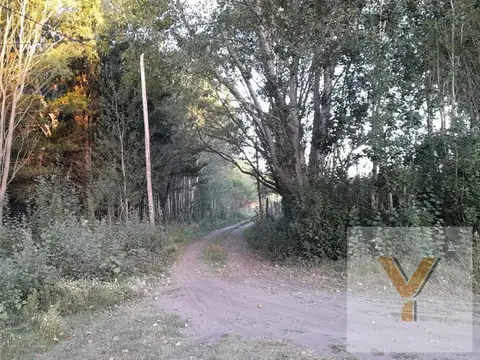 Terreno en Venta -  - 336.15mts - Aguas Verdes