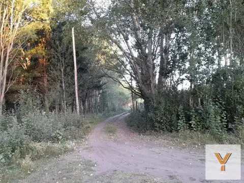 Terreno en Venta 14  mts Fondo