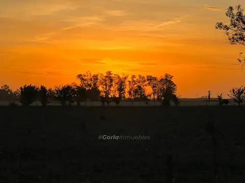 Campo en Venta de 5  ha