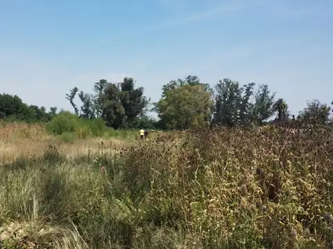 Terreno en Venta, FOT 1,2