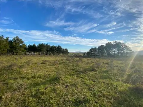 Km. 94 de ruta interbalenaria