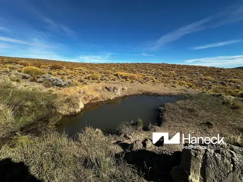 Campo en venta, 565 ha