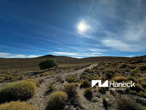 Campo en venta, 565 ha