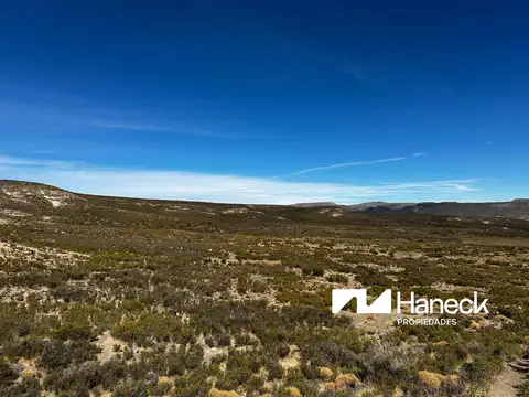 Campo en venta, 565 ha