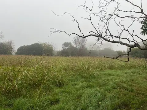 VENTA TERRENO EN VILLA PARQUE INDUSTRIAL