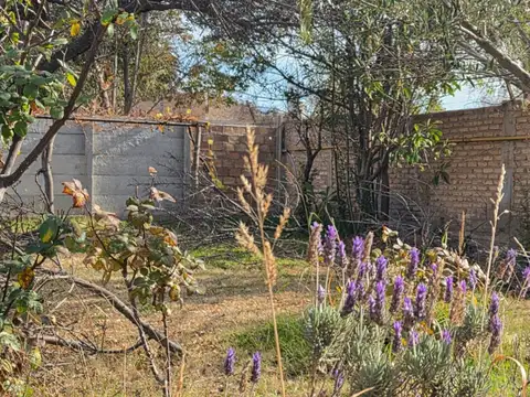 Casa en Alquiler 36 años