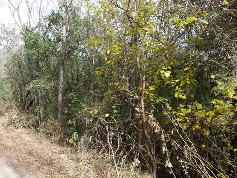 VENTA TERRENO 392M2 VILLA PAN DE AZUCAR COSQUIN