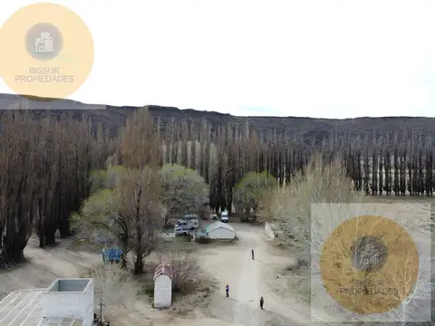 campo en venta en comallo