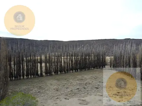 campo en venta en comallo