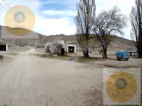 campo en venta en comallo