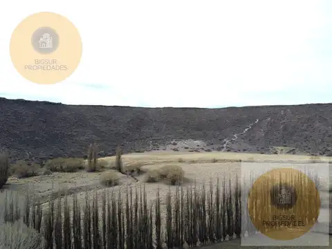 1800 Ha. en