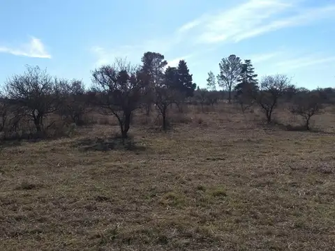 Terreno en Venta 77  mts Fondo