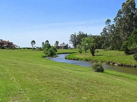 2 lotes juntos en venta