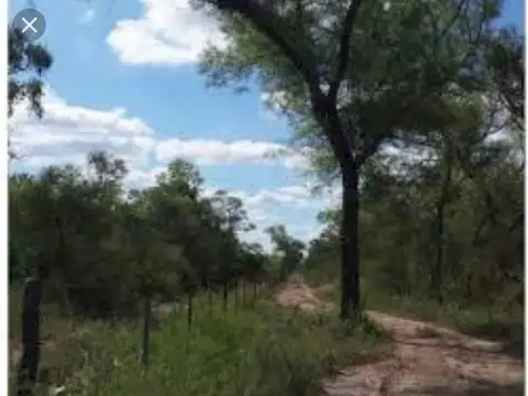 EXCELENTE MONTE, cerca de ruta 92