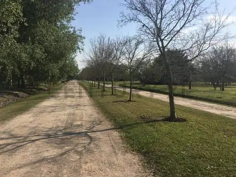 Venta de lote de 5000 metros en campos de roca 1 barrio cerrado