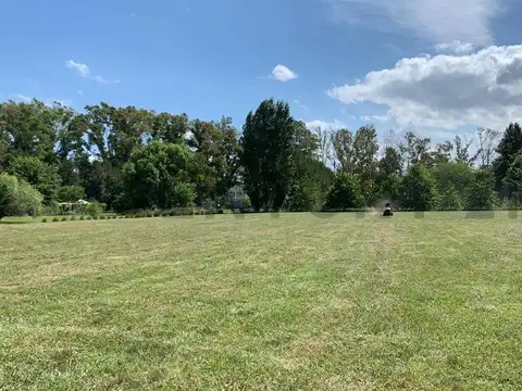 Terreno en Venta 50  mts Frente