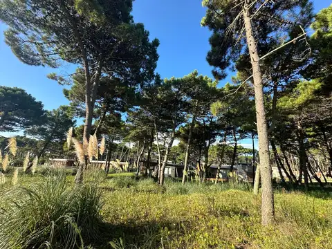 Terreno en Venta de 717,0 m2