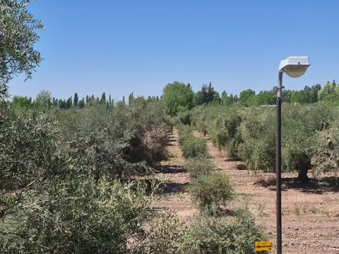 Finca en Venta Russell ? Maipú