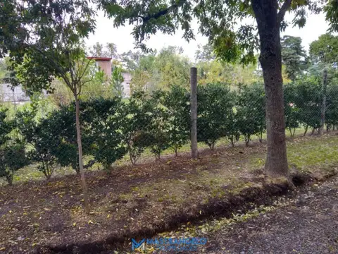 Terreno en Venta de 350,0 m2
