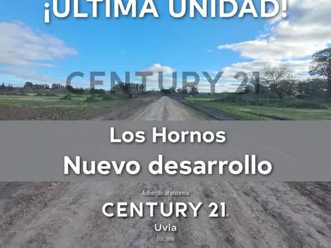 161 ENTRE 74 Y 76