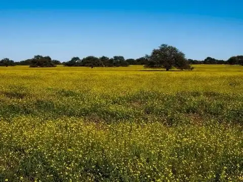 Ruta 20