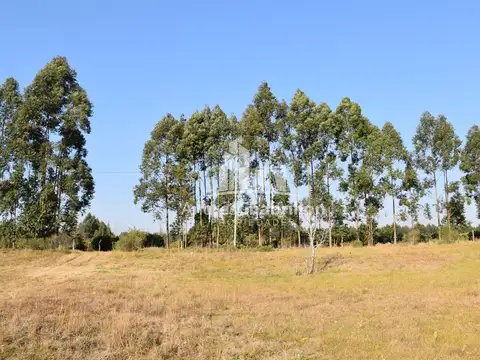 Terreno en Venta en Concordia, USD 225.000