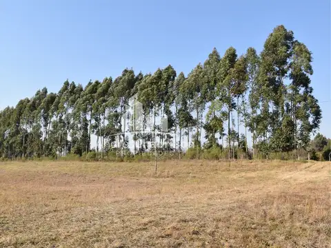 Ruta 015