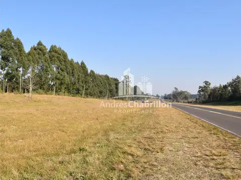 Terreno en Venta 50  mts Frente