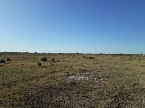 Venta Campo en Traill.Apto Ganadería.Mejoras.Aguadas.Cons.