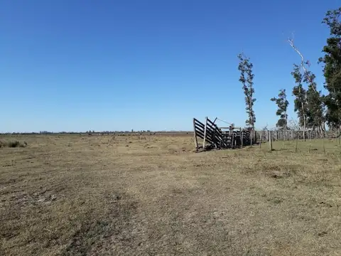 Zona Rural