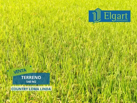 Terreno - Venta - Argentina, Tafí Viejo