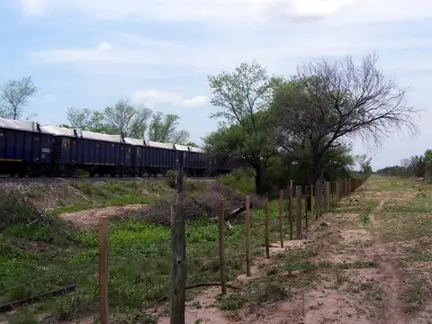 Campo Ganadero sobre Ruta 34